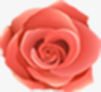 手绘红色花朵玫瑰素材