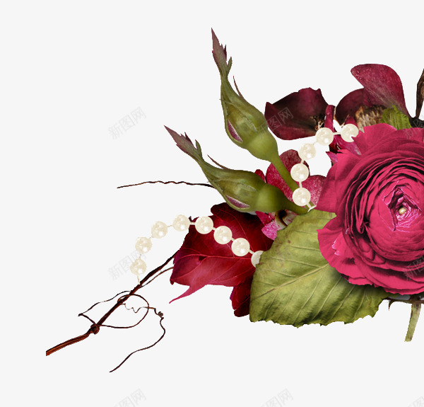 红玫瑰和珍珠装饰图案png免抠素材_新图网 https://ixintu.com 玫瑰 珍珠 红玫瑰 花朵