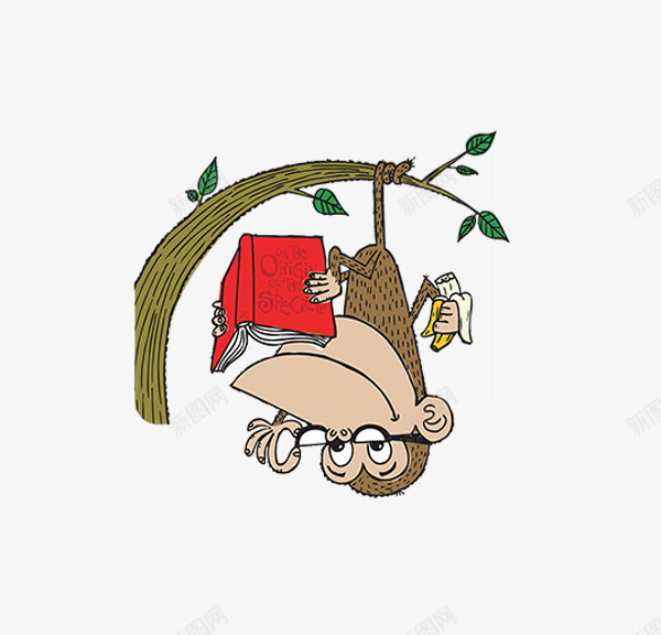 猴子爬树png免抠素材_新图网 https://ixintu.com 免抠png 卡通 手绘 树枝 猴子 猴子爬树 读书