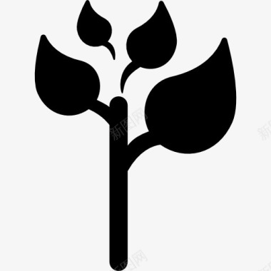四叶子的植物图标图标