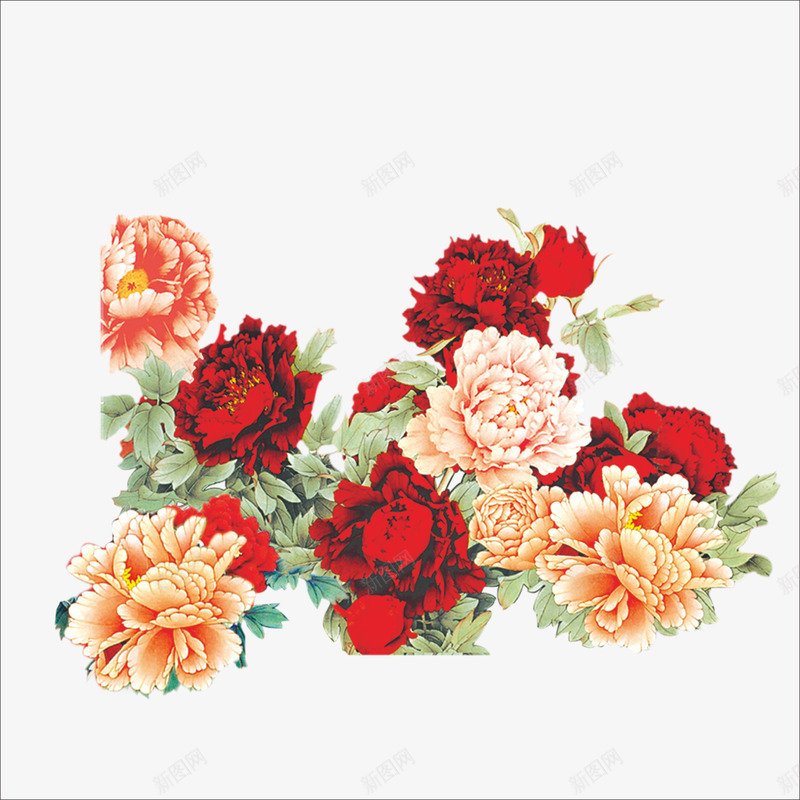 红玫瑰png免抠素材_新图网 https://ixintu.com 漂亮红色的花 玫瑰花