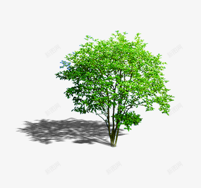 风景树png免抠素材_新图网 https://ixintu.com 建筑素材 景观 柳树 环境素材 绿化 装饰素材 风景树