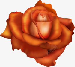 茶色玫瑰花花朵素材