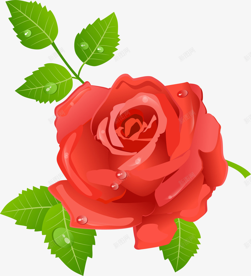 红色玫瑰花图案矢量图ai免抠素材_新图网 https://ixintu.com 图案 红色玫瑰花 矢量图