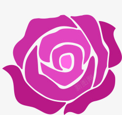 紫红色玫瑰素材