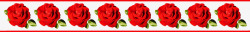 红色玫瑰花朵边框素材