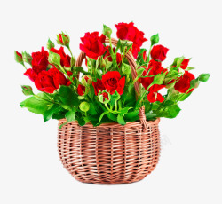 篮子中的魔芋篮子中的红玫瑰花高清图片