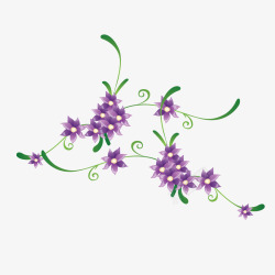 紫草枝叶花朵素材