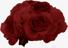 砖红绽放玫瑰花束素材