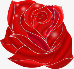 漂亮红玫瑰素材