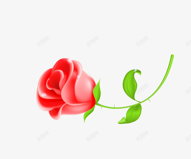 一朵美艳的红玫瑰png免抠素材_新图网 https://ixintu.com 叶子 玫瑰 红玫瑰 美艳 花朵 鲜花