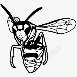 黑色蜜蜂剪影黑白画png免抠素材_新图网 https://ixintu.com 剪影 蜜蜂 黑白画 黑色