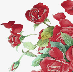 红色水彩艺术玫瑰花朵素材
