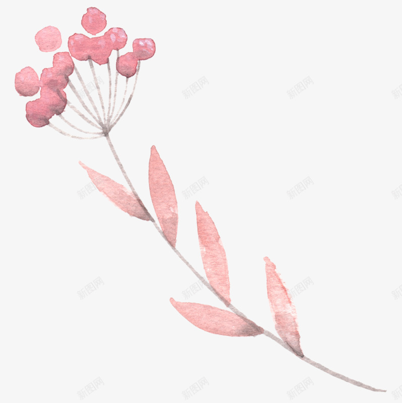 水彩样式红色花朵png免抠素材_新图网 https://ixintu.com 样式 水彩 红色 花朵
