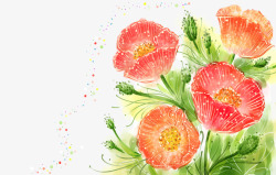 韩式小清新手绘花卉素材