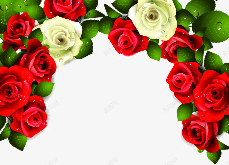 红玫瑰白玫瑰花朵植物边框装饰png免抠素材_新图网 https://ixintu.com 植物 玫瑰 花朵 装饰 边框