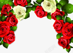 红玫瑰白玫瑰花朵植物边框装饰素材