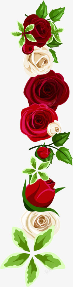 艺术白红玫瑰花朵素材