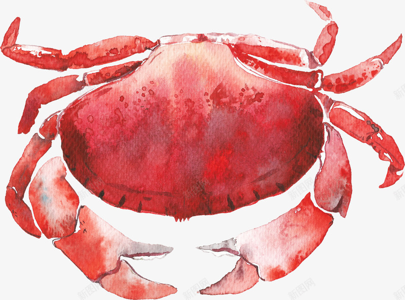 手绘美味红色小螃蟹png免抠素材_新图网 https://ixintu.com 创意图 可爱 小螃蟹 彩色图 手绘图 简单的