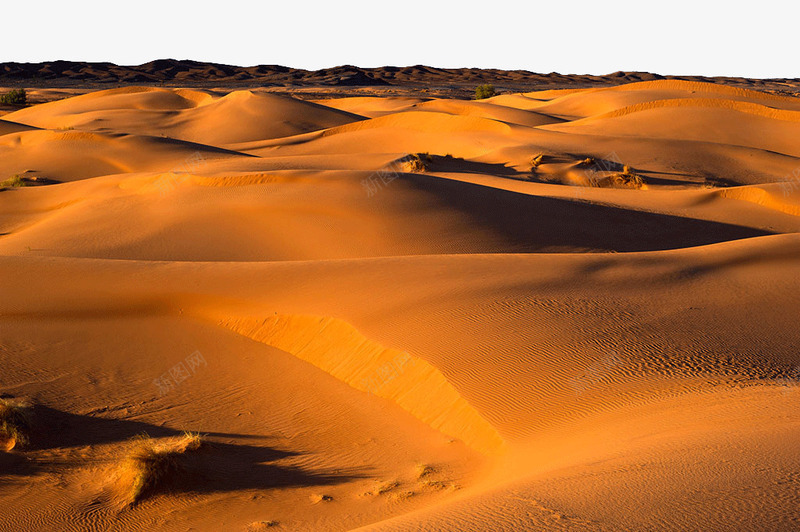 撒哈拉沙漠景区png免抠素材_新图网 https://ixintu.com 撒哈拉沙漠景区 旅游景区 著名景点 非洲撒哈拉沙漠