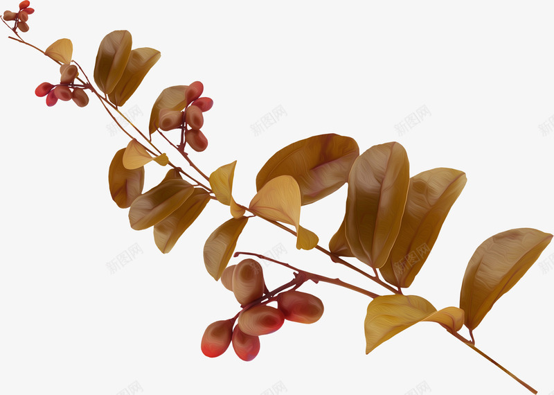 棕色漂亮枝叶png免抠素材_新图网 https://ixintu.com 叶子 枝叶 树叶 树枝 棕色枝叶 漂亮枝叶
