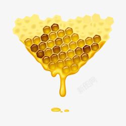 装饰图案蜜蜂金黄色滴矢量图素材