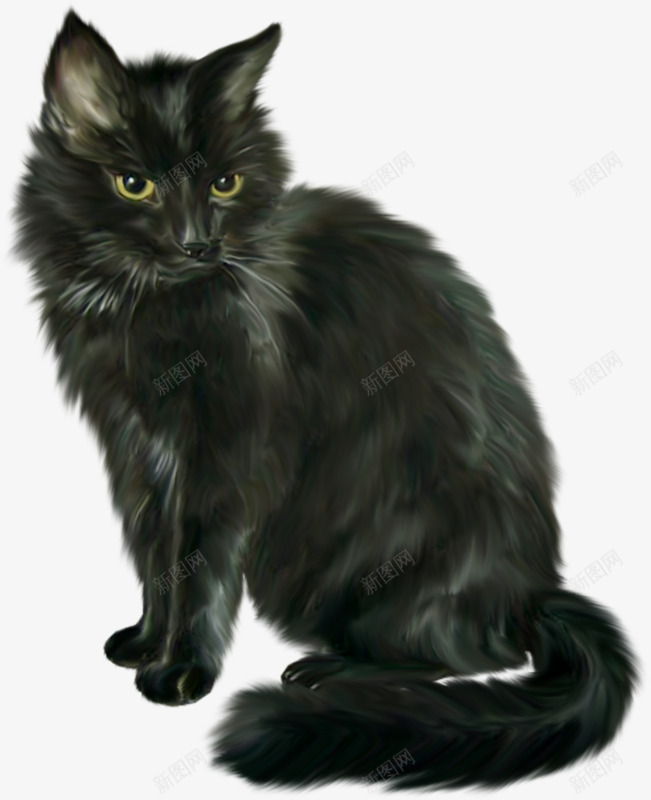 万圣节恐怖黑猫png免抠素材_新图网 https://ixintu.com 万圣节 动物 恐怖 黑猫