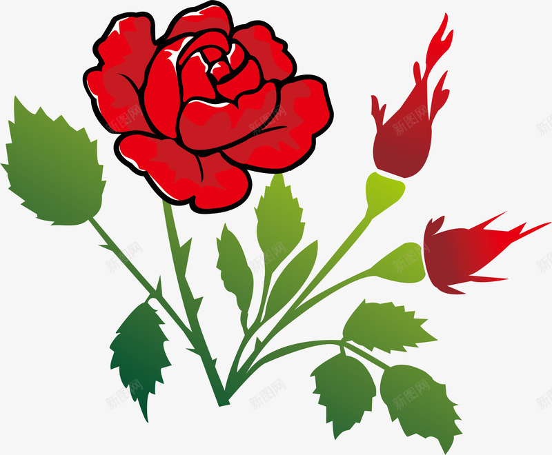 手绘红玫瑰png免抠素材_新图网 https://ixintu.com 植物 玫瑰 红色 花叶 花朵