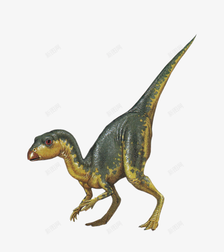 恐龙时代png免抠素材_新图网 https://ixintu.com 侏罗纪 侏罗纪公园 恐龙 恐龙世界 恐龙大全 模具