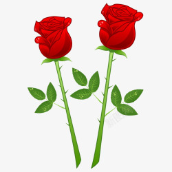 红玫瑰免费下载红玫瑰七夕情人节高清图片