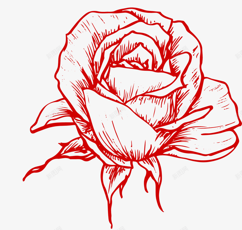 素描红色玫瑰png免抠素材_新图网 https://ixintu.com 图案 玫瑰 玫瑰纹身 素描 红色