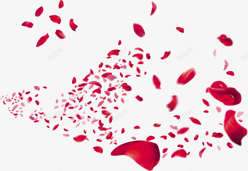 红色玫瑰花瓣宣传主页png免抠素材_新图网 https://ixintu.com 主页 宣传 玫瑰 红色 花瓣