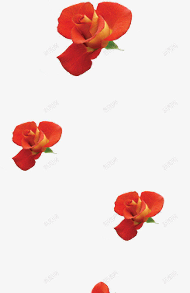 红色鲜花花朵装饰母亲节png免抠素材_新图网 https://ixintu.com 母亲节 红色 花朵 装饰 鲜花