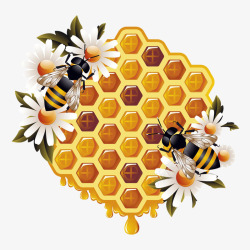 工蜂蜜蜂高清图片