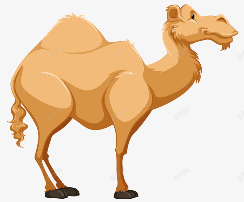 一只骆驼png免抠素材_新图网 https://ixintu.com 动物 手绘 沙漠之王 骆驼 骆驼科生物