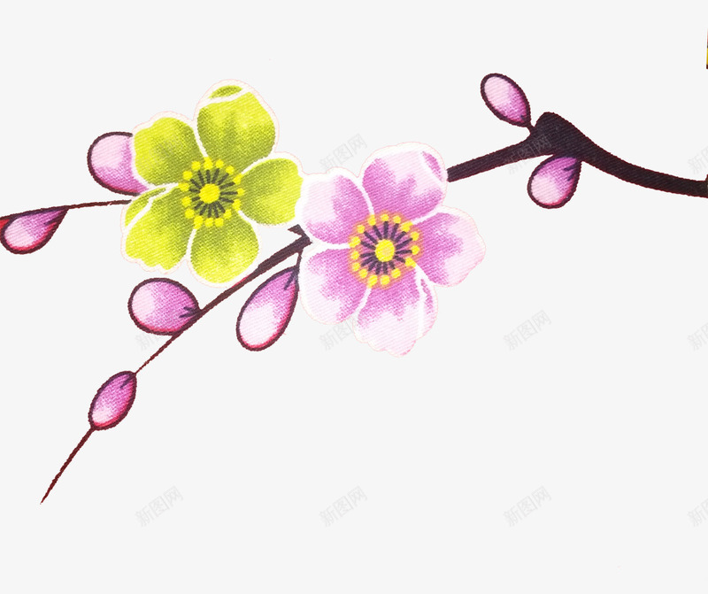 漂亮花朵png免抠素材_新图网 https://ixintu.com 室内 漂亮 花朵 装饰