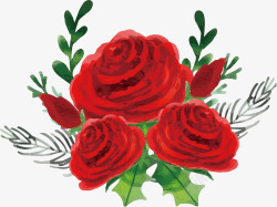 水彩红玫瑰矢量图素材