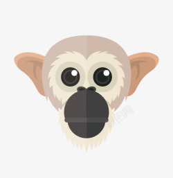 小猴子头像素材
