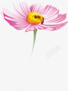 手绘粉色蜜蜂采蜜花朵植物png免抠素材_新图网 https://ixintu.com 植物 粉色 花朵 蜜蜂