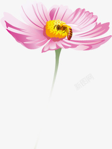 手绘粉色蜜蜂采蜜花朵植物素材