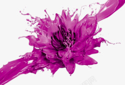 创意绽放的紫色花卉素材