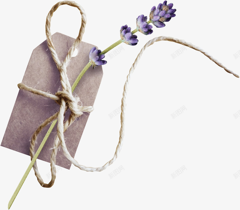 手绘紫色花朵吊牌png免抠素材_新图网 https://ixintu.com 紫色 花朵