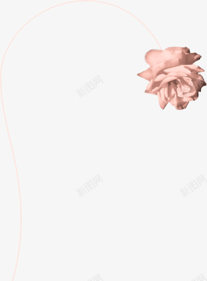 粉色月季玫瑰花卉png免抠素材_新图网 https://ixintu.com 影楼后期制作 月季 玫瑰 粉色花卉 装饰
