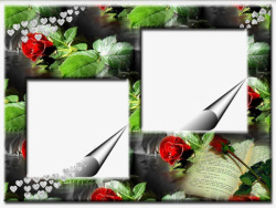 玫瑰画框红玫瑰相框高清图片