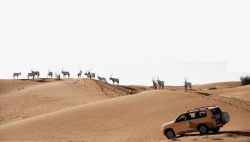 浩瀚沙漠越野车素材