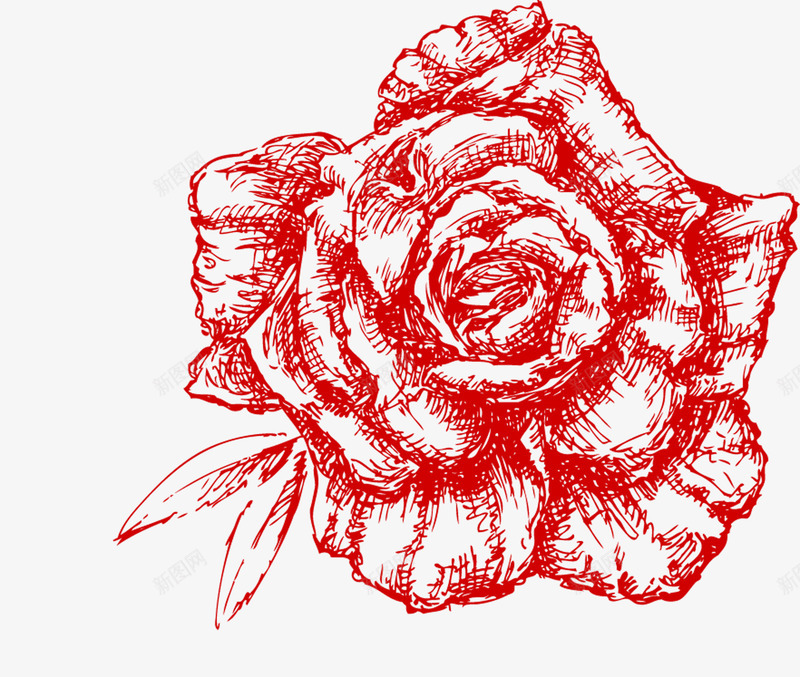素描红色玫瑰png免抠素材_新图网 https://ixintu.com 图案 图画 玫瑰 素描 红色 花朵