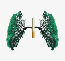 绂呮剰禁烟日公益广告肺部与香烟高清图片