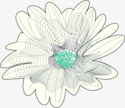 优雅手绘线条花朵素材