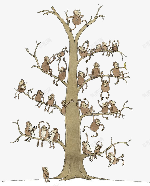树上的猴子png免抠素材_新图网 https://ixintu.com 儿童插画 卡通 卡通人物 卡通动物 可爱 插画 故事插画 猴子