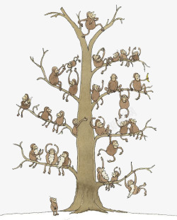 树上的猴子素材